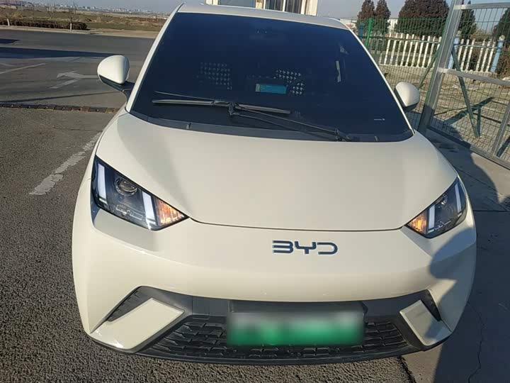 Фото 3 - BYD Seagull