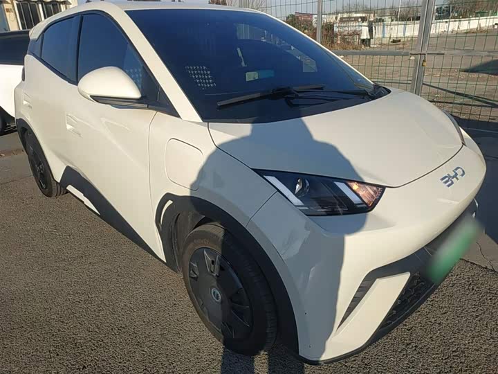 Фото 4 - BYD Seagull