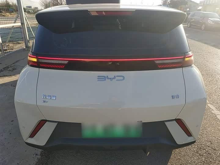 Фото 6 - BYD Seagull