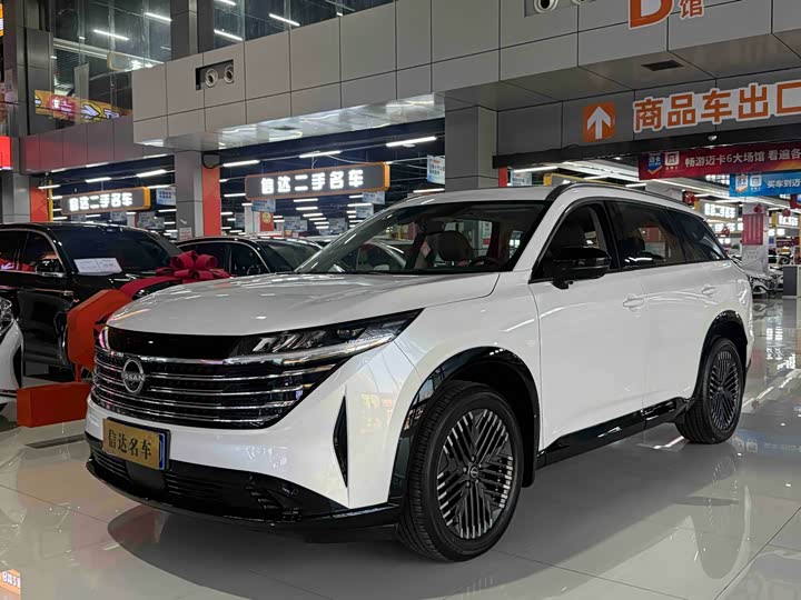 Фото 1 - Nissan Pathfinder