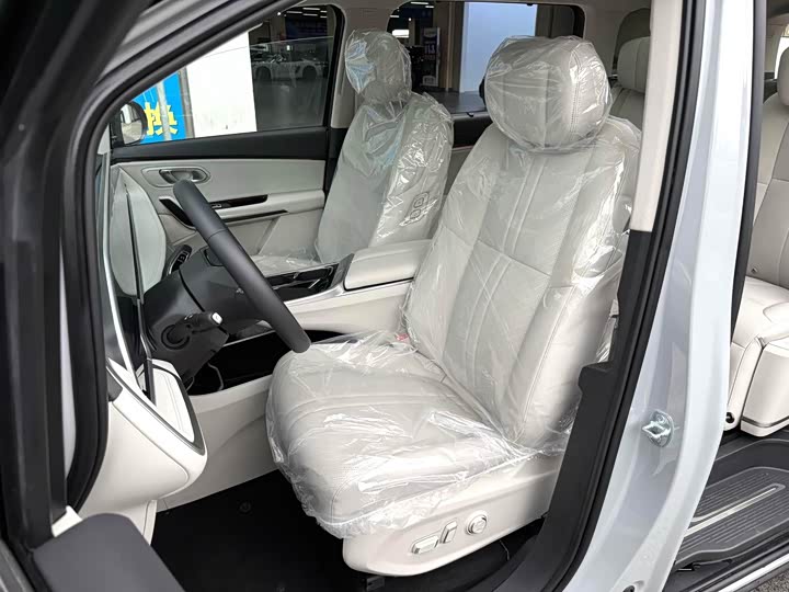 Фото 5 - Maxus Mifa 9