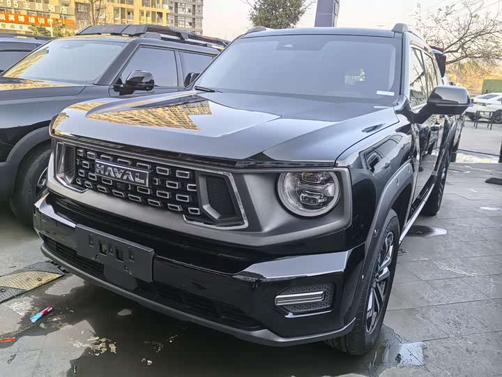 Фото 1 - Haval H-Dog