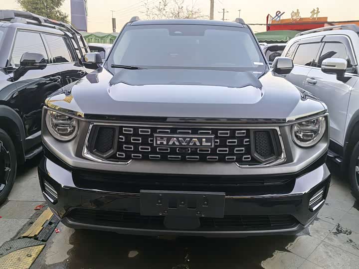 Фото 2 - Haval H-Dog