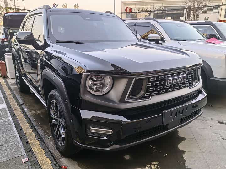 Фото 3 - Haval H-Dog