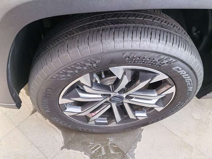 Фото 4 - Haval H-Dog