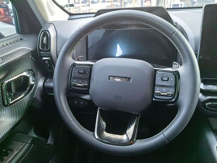 Фото 9 - Haval H-Dog