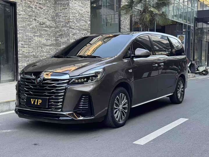 Фото 1 - Buick GL8 ES