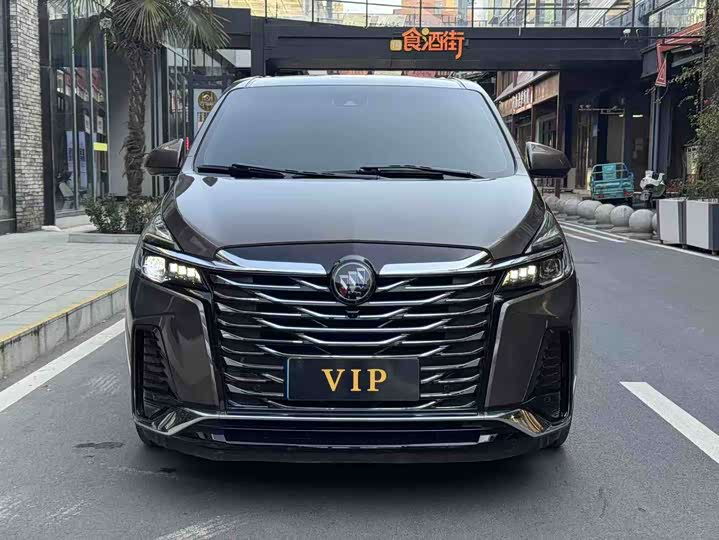 Фото 2 - Buick GL8 ES