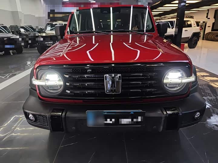 Фото 3 - Tank 300