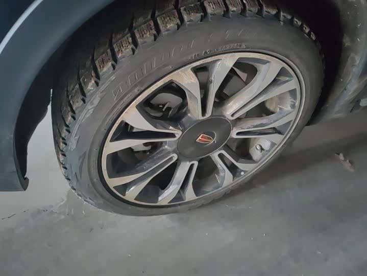 Фото 6 - Hongqi HS5