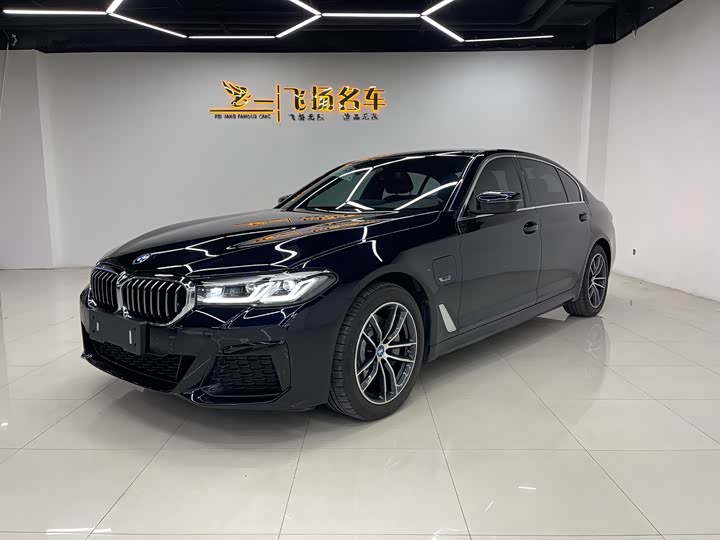 Фото 1 - BMW 5 Series Hybrid