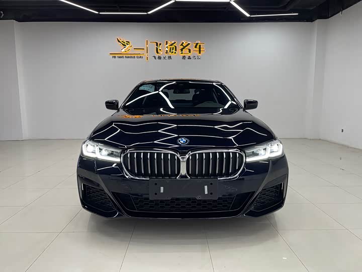 Фото 2 - BMW 5 Series Hybrid