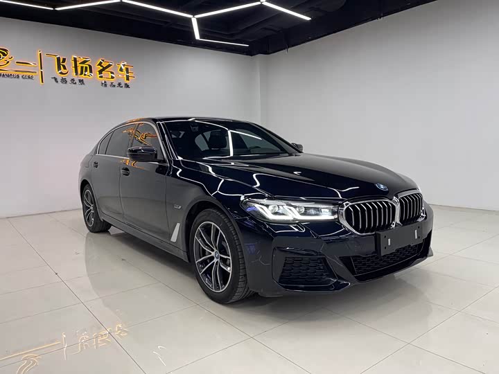 Фото 3 - BMW 5 Series Hybrid