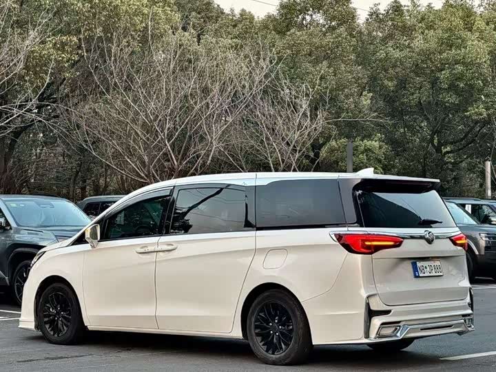 Фото 7 - Buick GL8 ES