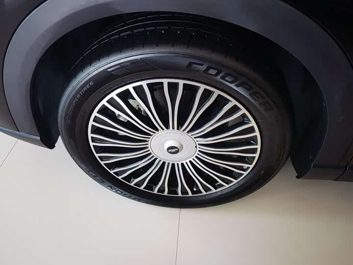 Фото 9 - Chery Fulwin T9