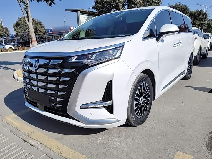 Фото 1 - Denza D9