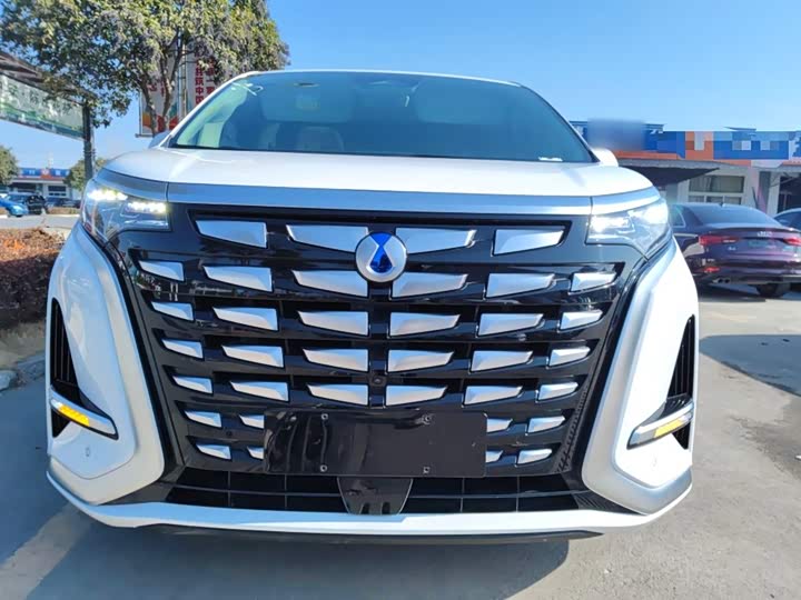 Фото 3 - Denza D9