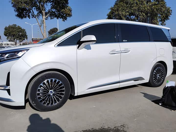 Фото 5 - Denza D9