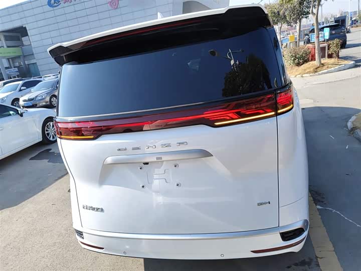 Фото 6 - Denza D9