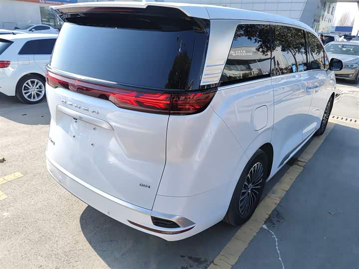 Фото 7 - Denza D9