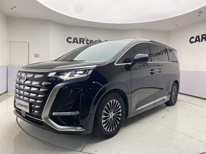 Фото 1 - Denza D9