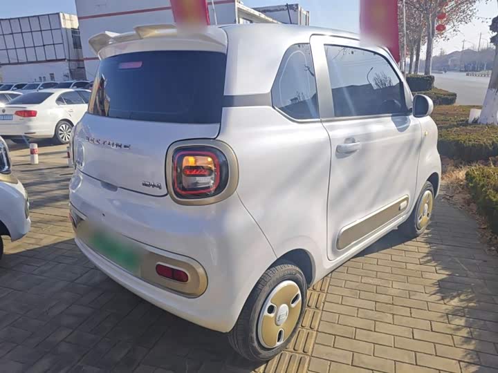 Фото 7 - Bestune Pony