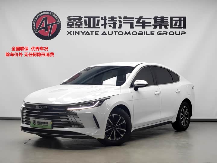 Фото 1 - BYD Destroyer 05