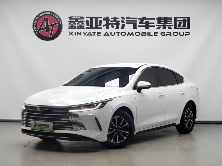 Фото 2 - BYD Destroyer 05