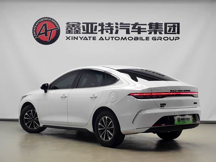 Фото 4 - BYD Destroyer 05