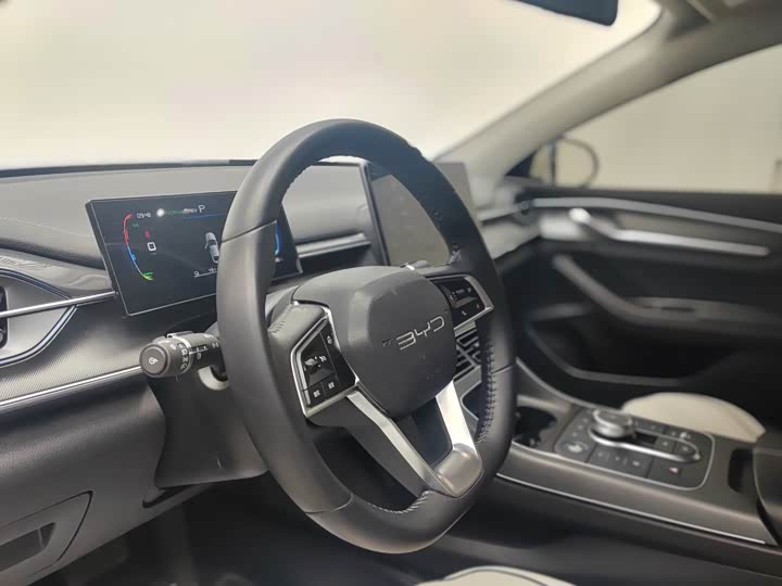 Фото 5 - BYD Destroyer 05