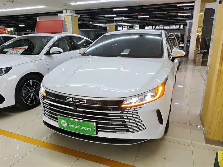 Фото 2 - BYD Destroyer 05