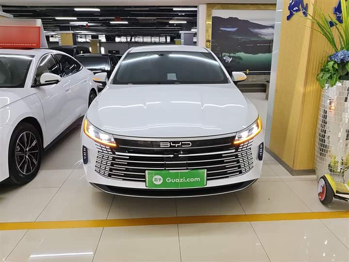 Фото 3 - BYD Destroyer 05