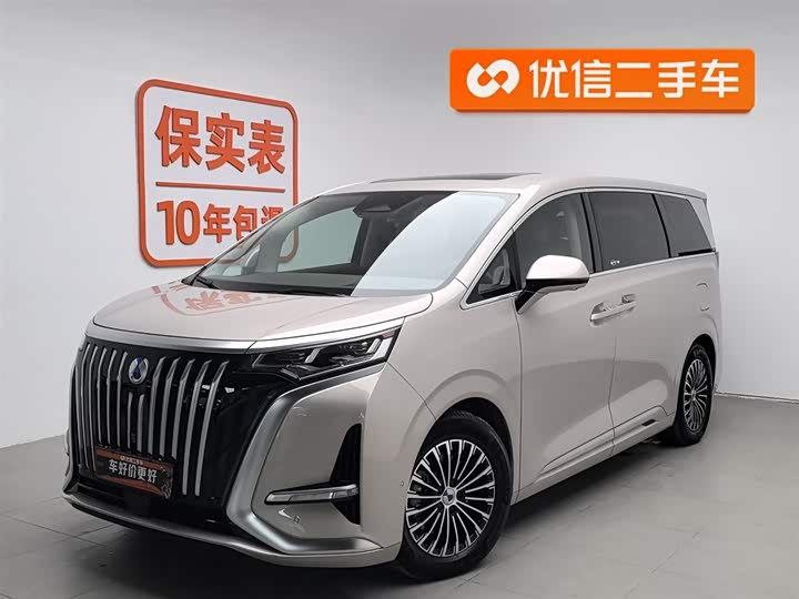 Фото 1 - Denza D9