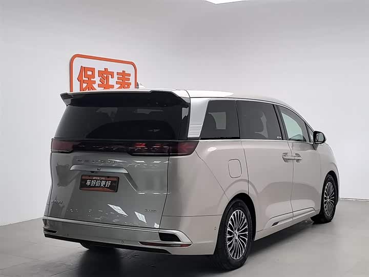 Фото 2 - Denza D9