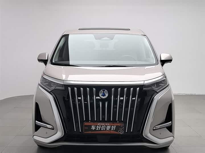 Фото 3 - Denza D9