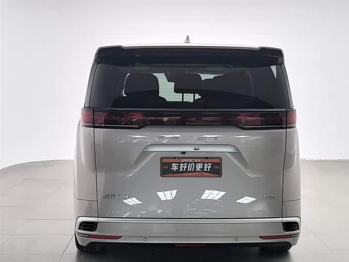 Фото 4 - Denza D9