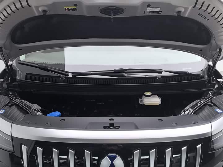 Фото 6 - Denza D9