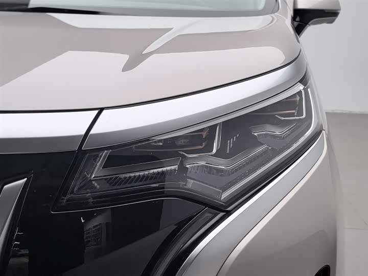 Фото 7 - Denza D9