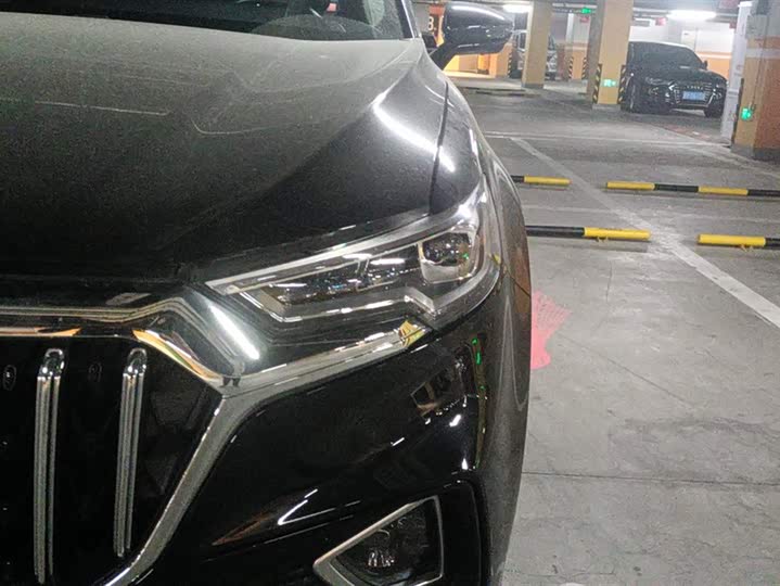 Фото 5 - Hongqi HS5