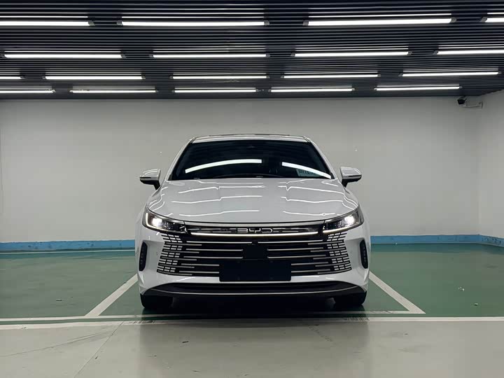 Фото 2 - BYD Destroyer 05