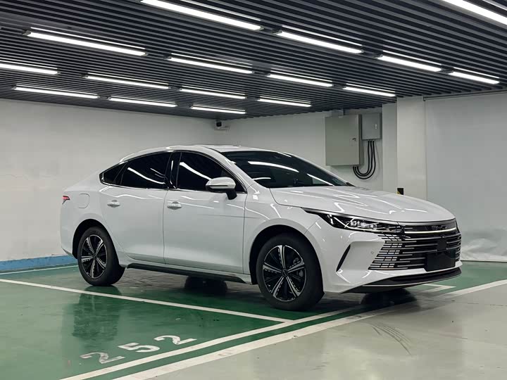 Фото 3 - BYD Destroyer 05