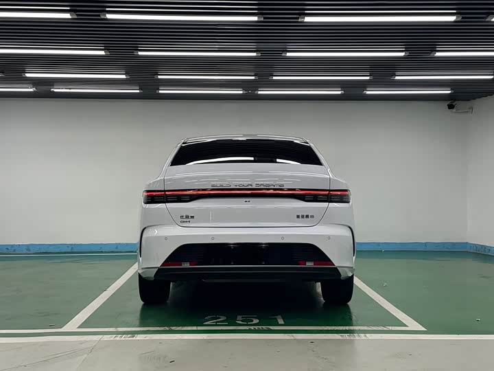 Фото 6 - BYD Destroyer 05