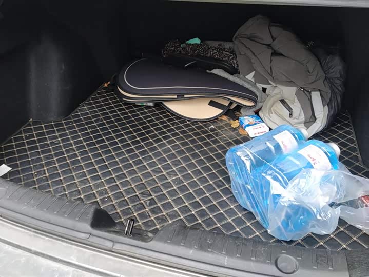 Фото 4 - Changan Eado Plus