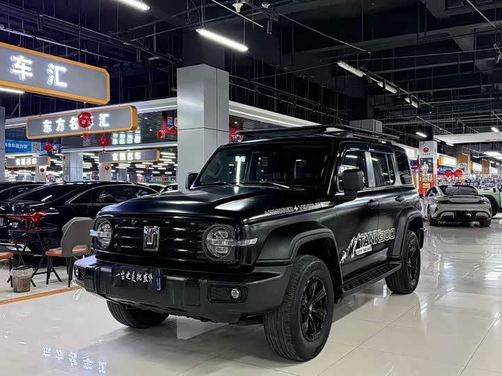 Фото 1 - Tank 300