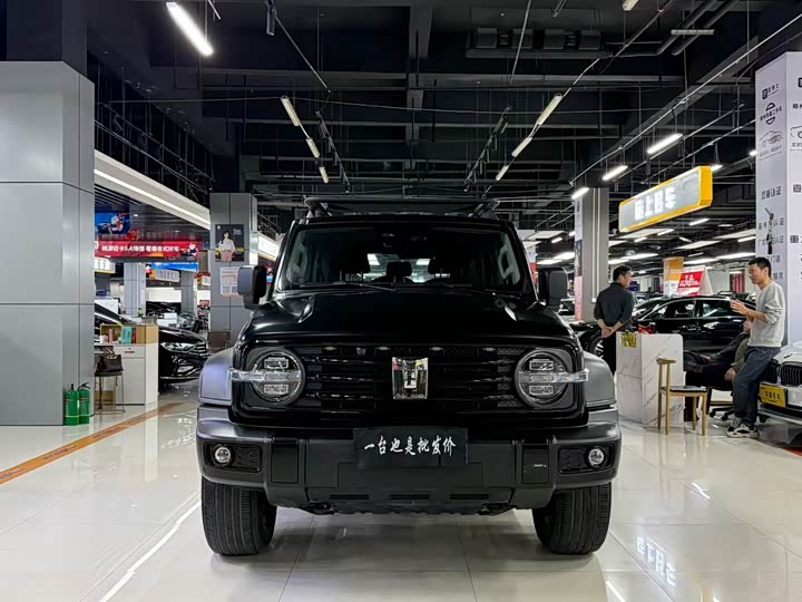 Фото 2 - Tank 300