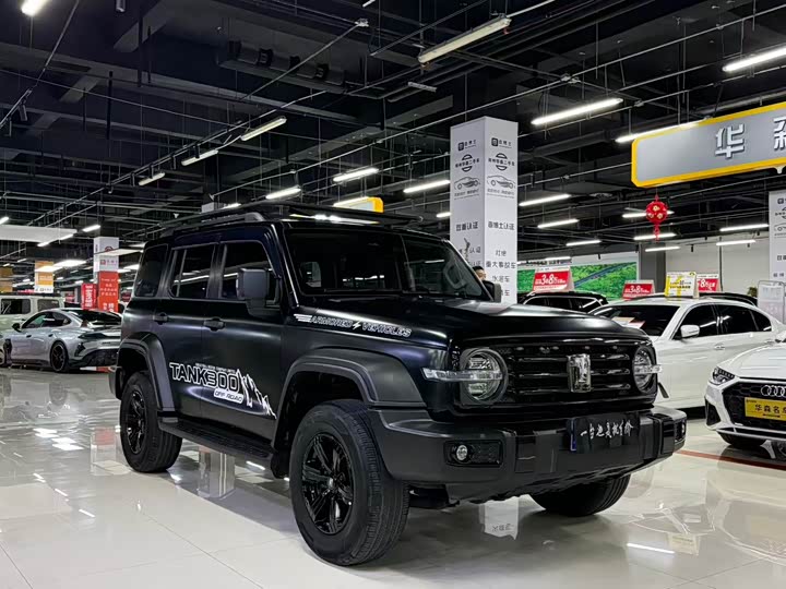 Фото 3 - Tank 300