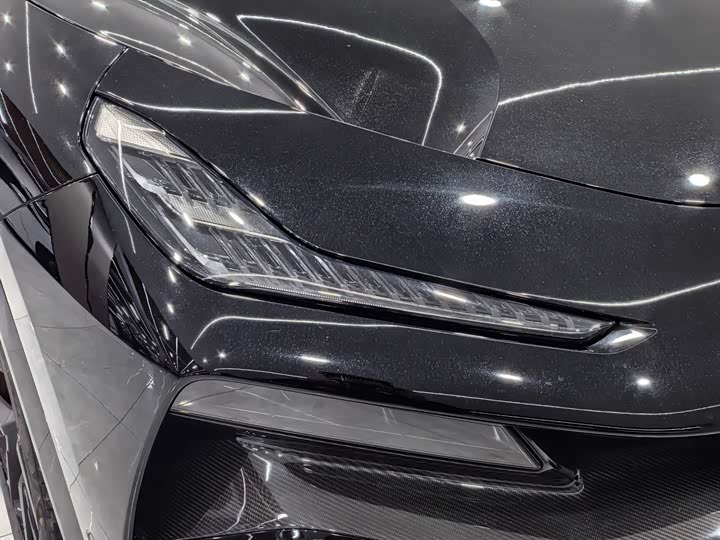 Фото 6 - Lotus Eletre