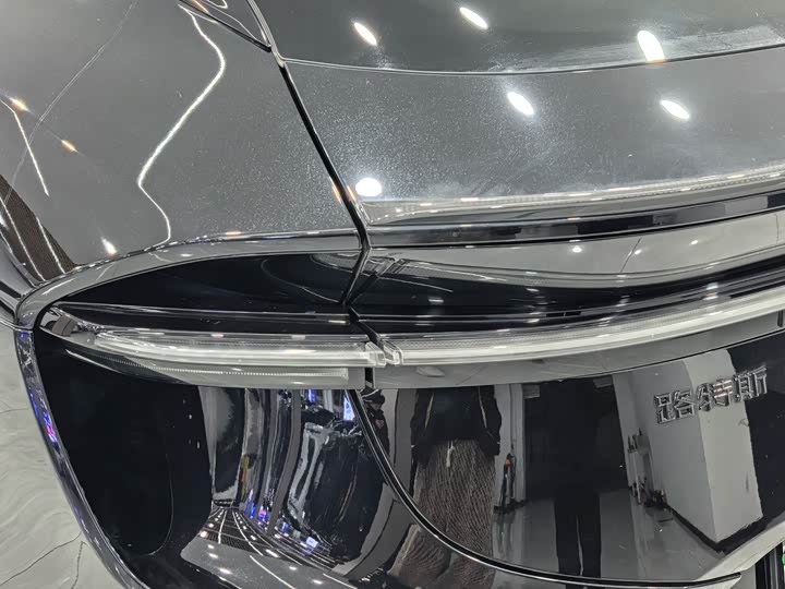 Фото 7 - Lotus Eletre