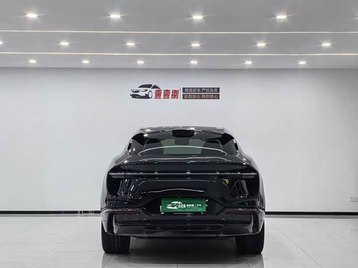 Фото 9 - Lotus Eletre