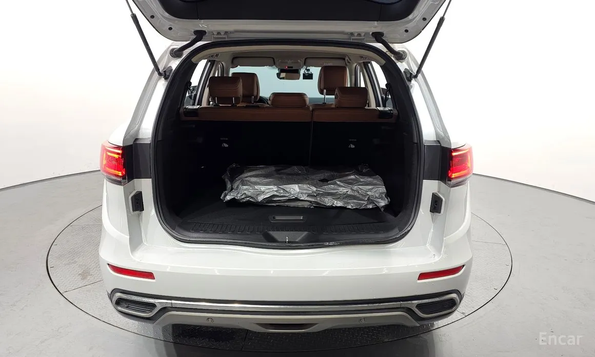 Фото 20 - Renault QM6